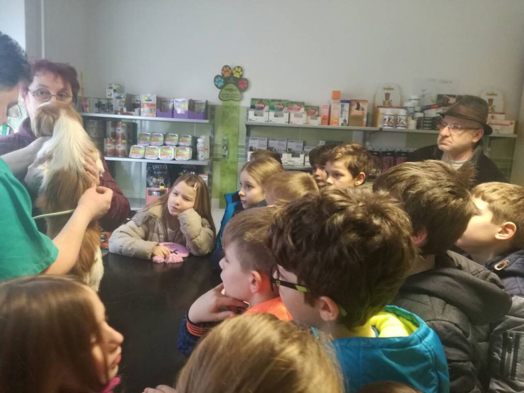 img122ebb45d4a8298a737488df0ee0