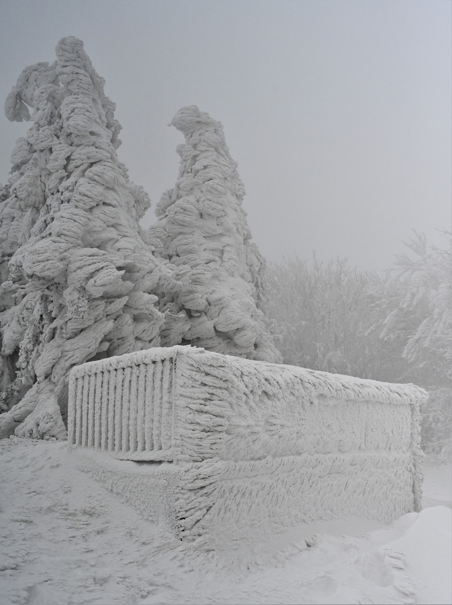 Ivanščica snijeg zima prognoza planina šuma