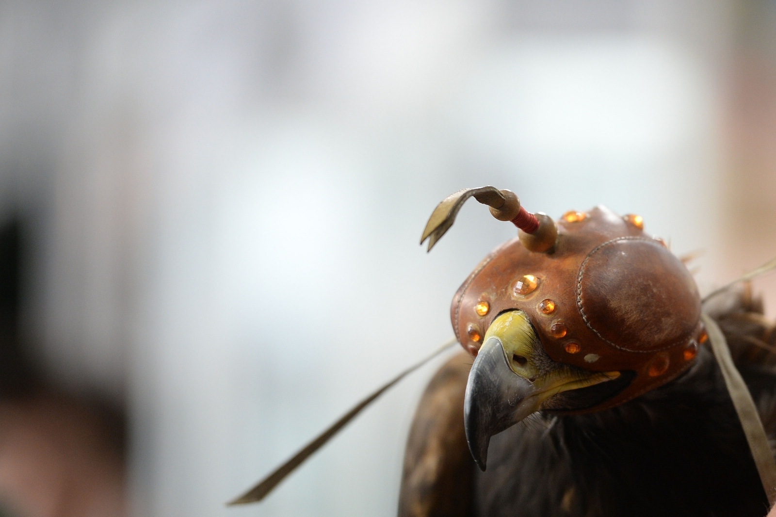 23. Sajam priroda, lov, ribolov, turizam