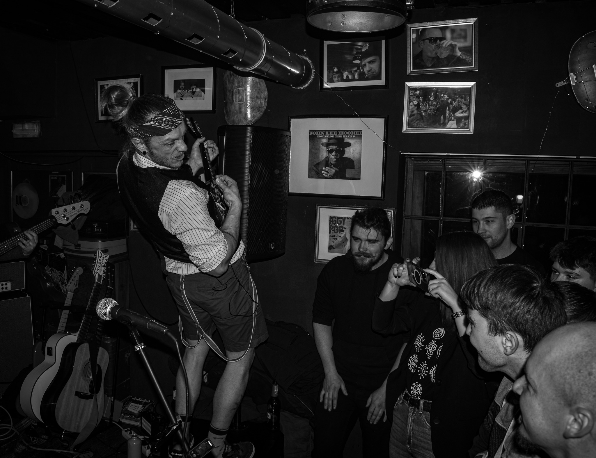 Dodger Artfool The Vipers