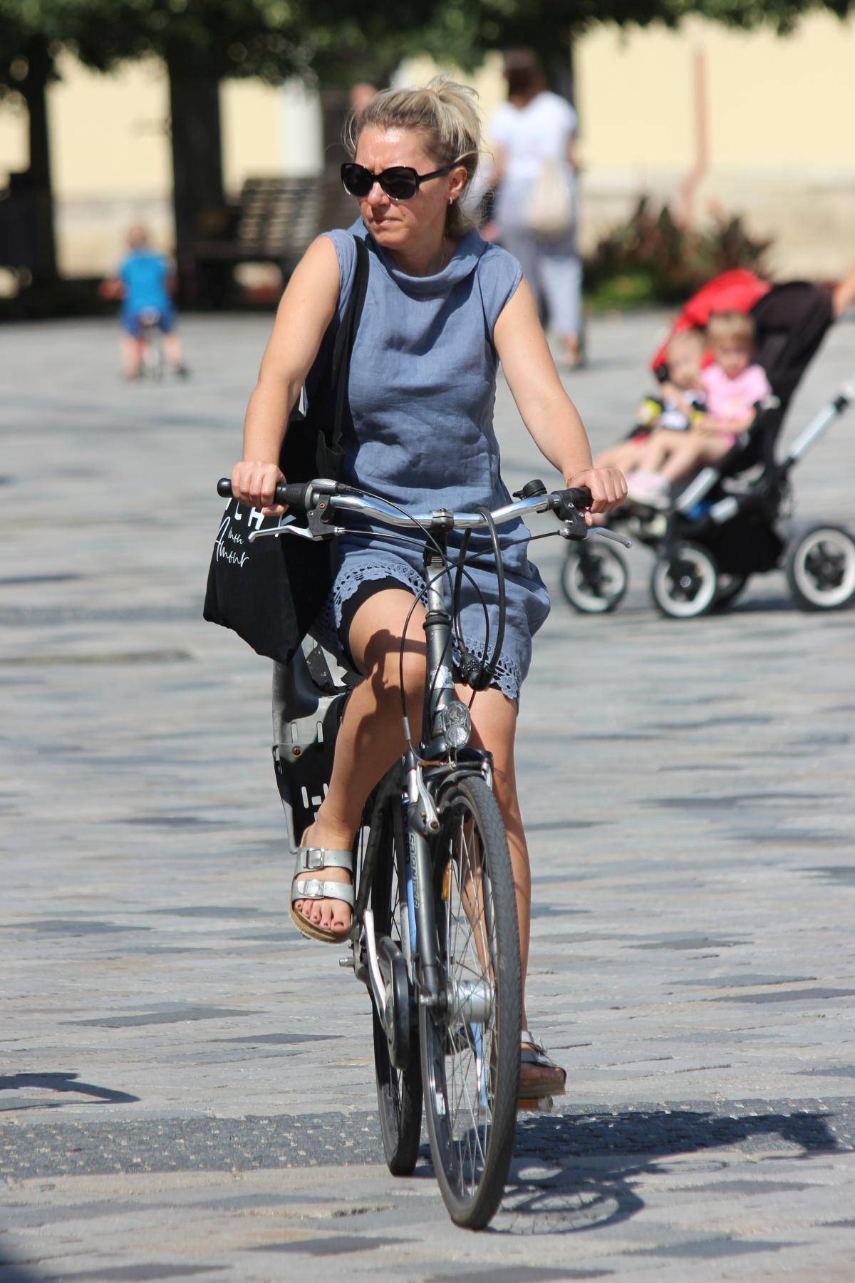 Image 5420614 (auto)