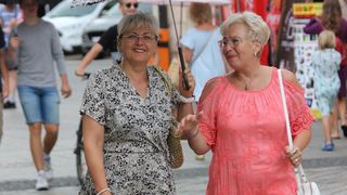 Image 5449996 (auto)