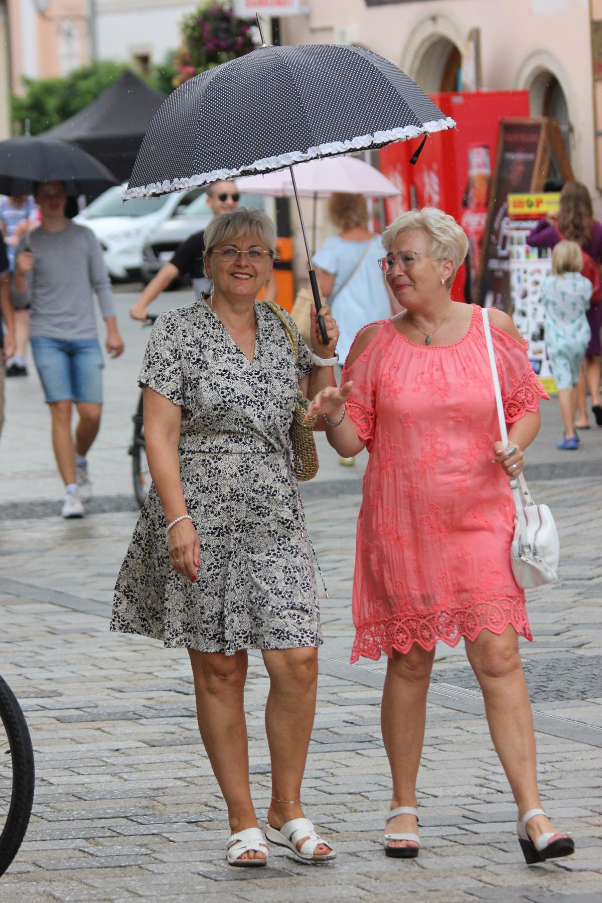 Image 5449996 (auto)