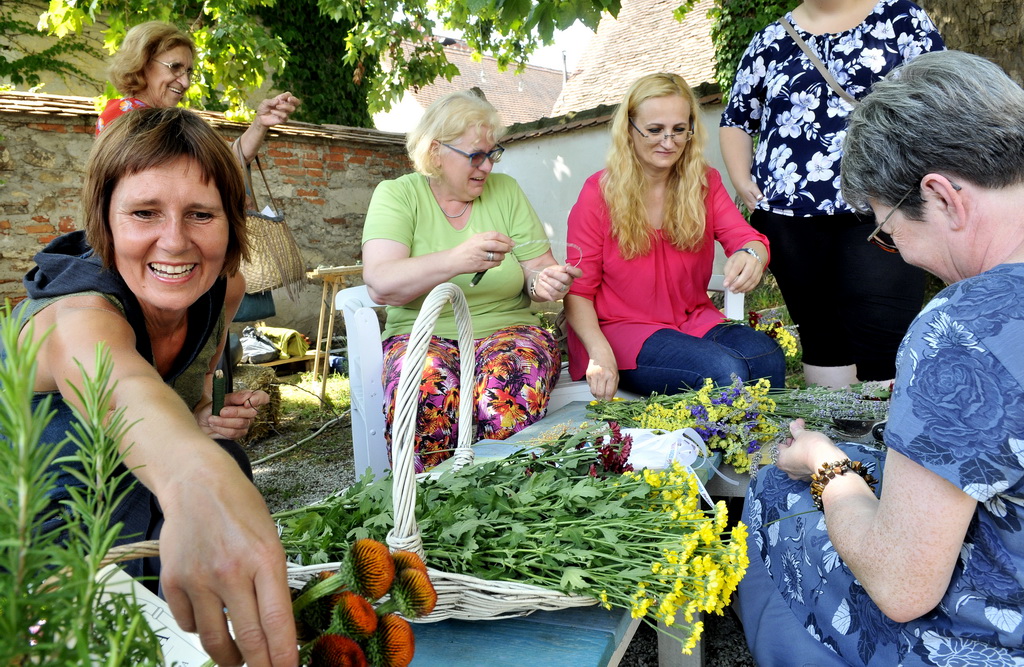 Festival dvorišta 2019., jutarnji dio