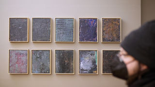 Image 5223176 (auto)