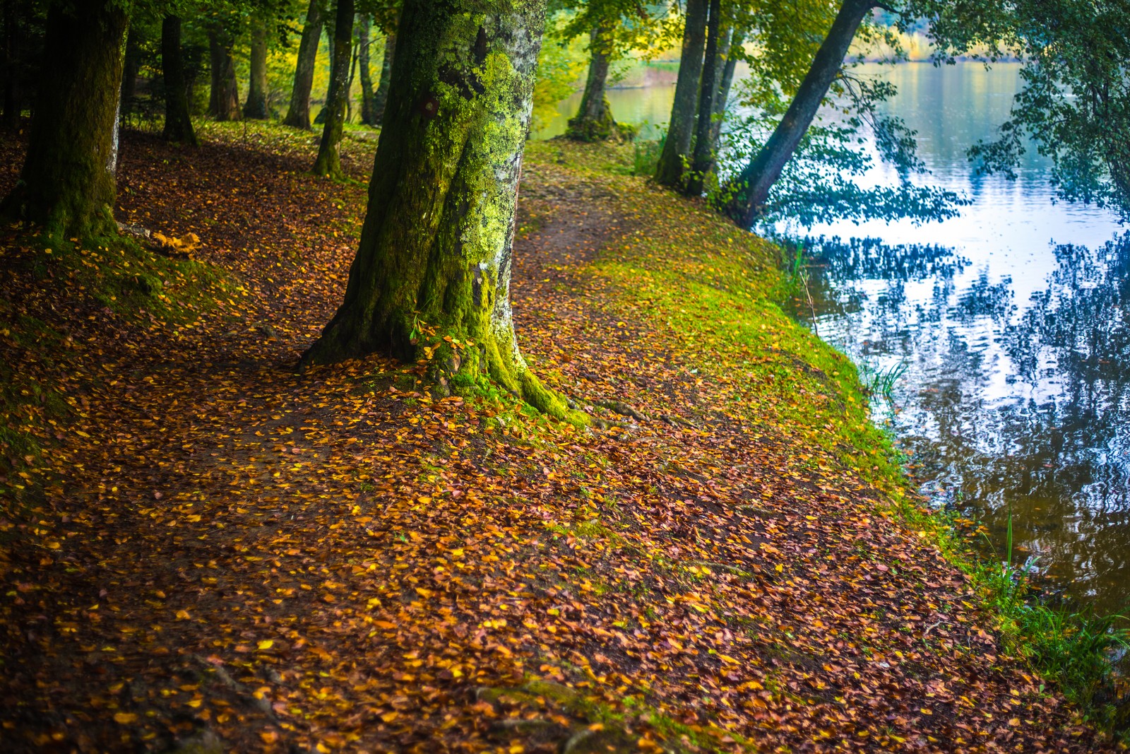 Jesen u Trakošćanu