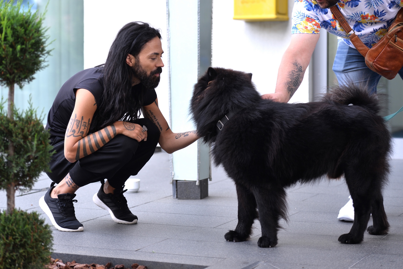 The Gipsy Kings i Božo Vrećo