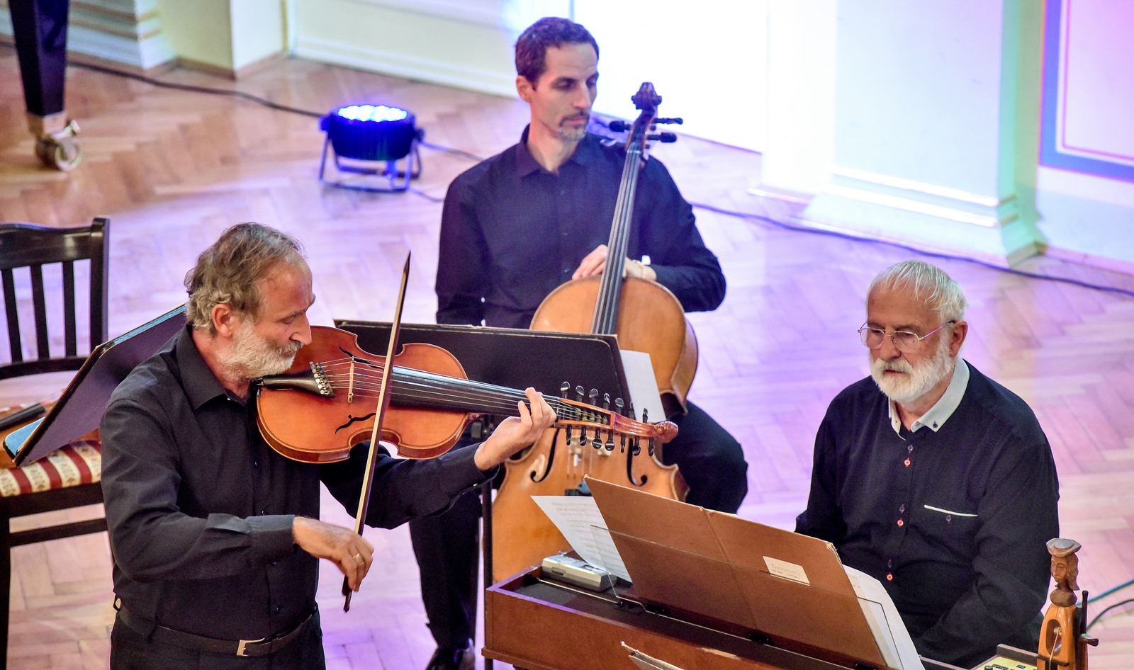 Image 5473588 (auto)