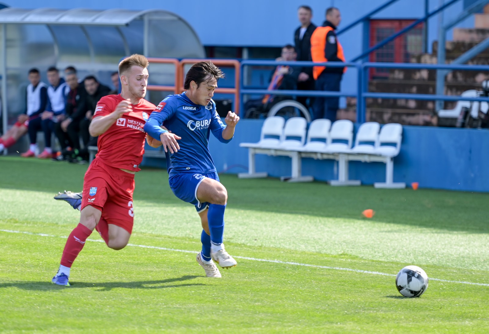 Image 5676613 (auto)