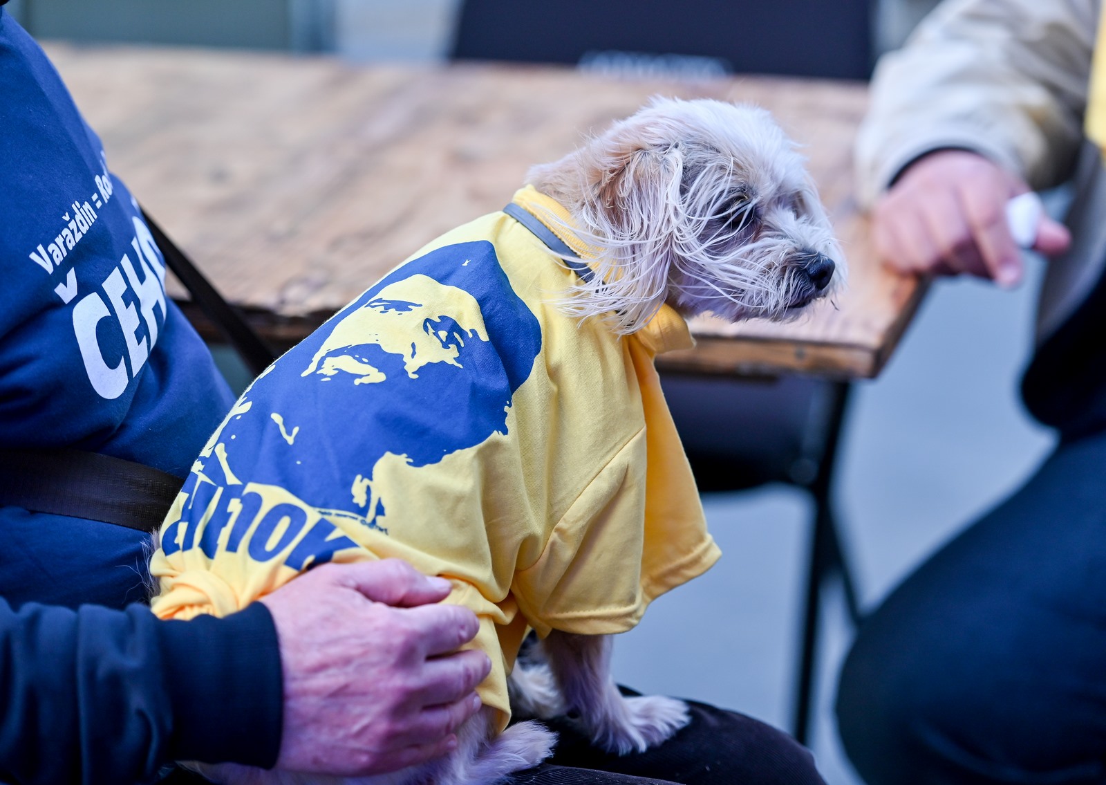 Ivan Čehok, stožer izbori 2021