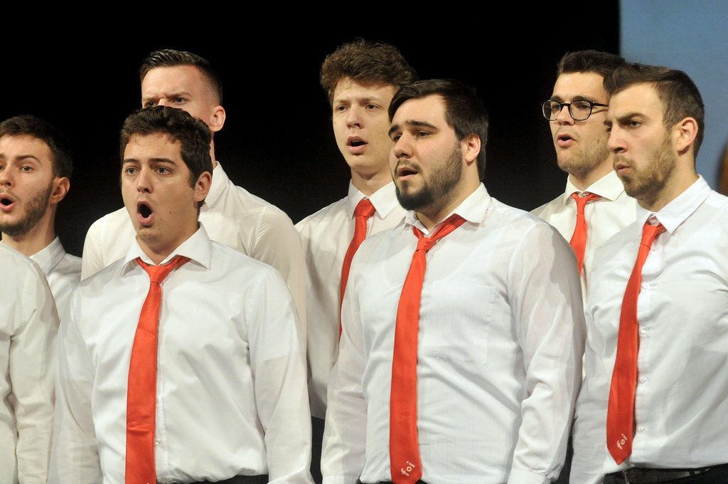 Svečana sjednica, Fakultet organizacije i informatike