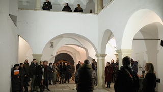 Image 5223190 (auto)