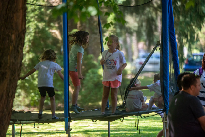 Image 5735727 (auto)