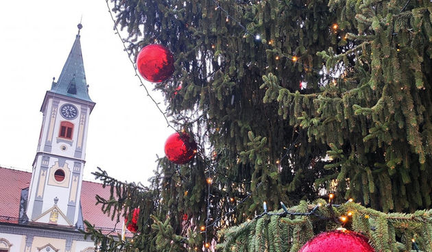 prognoza, advent, zima, korzo, bor