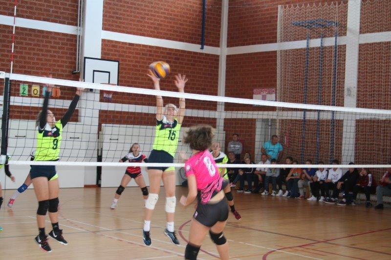 Memorijal Zeljko Sovic Sova