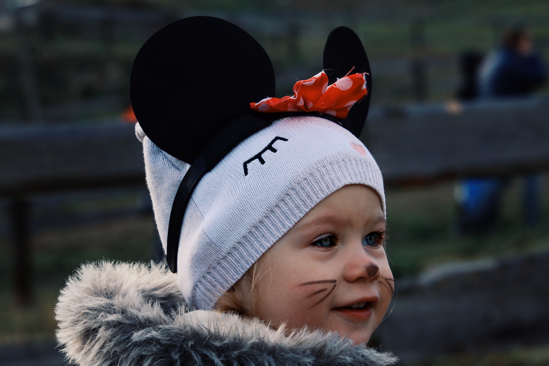 Image 4112809 (auto) Image 4112809 (auto)