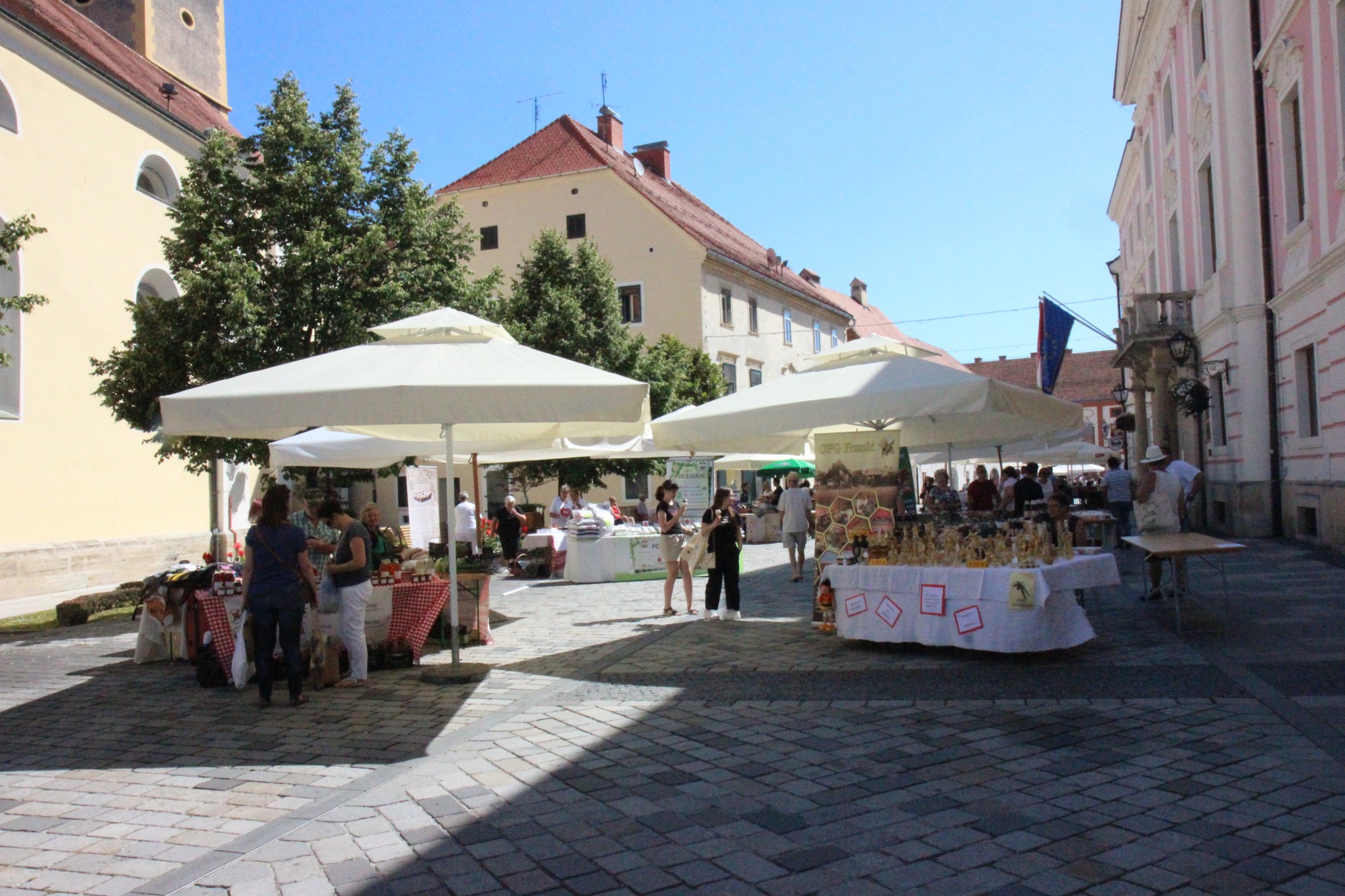 Image 3705075 (auto)