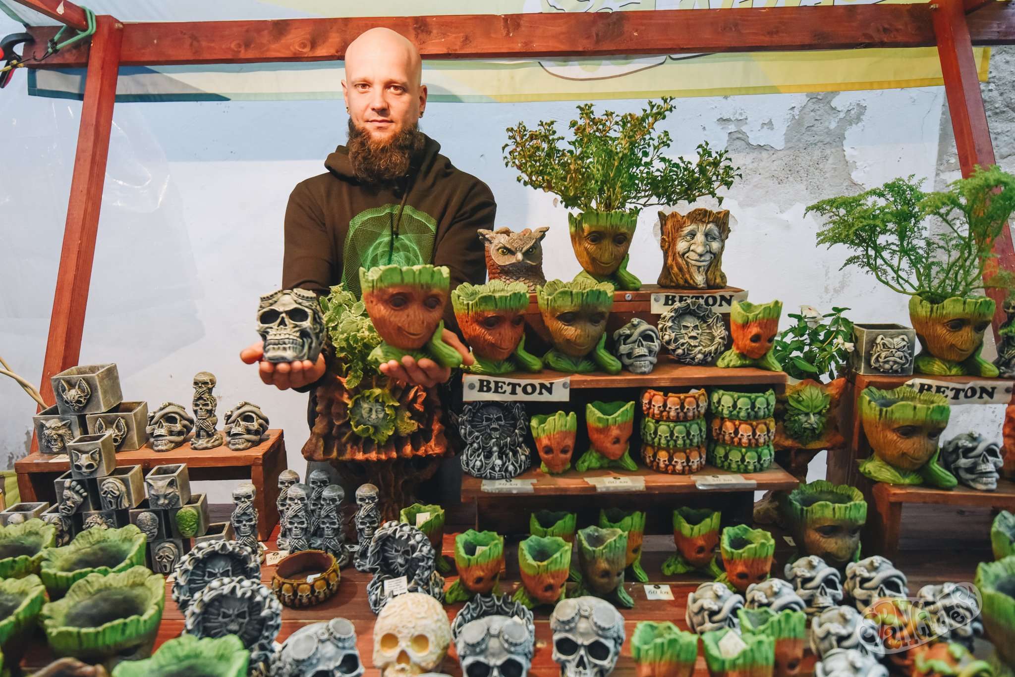 Image 5460070 (auto)