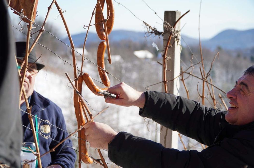 vincekovo donja voća