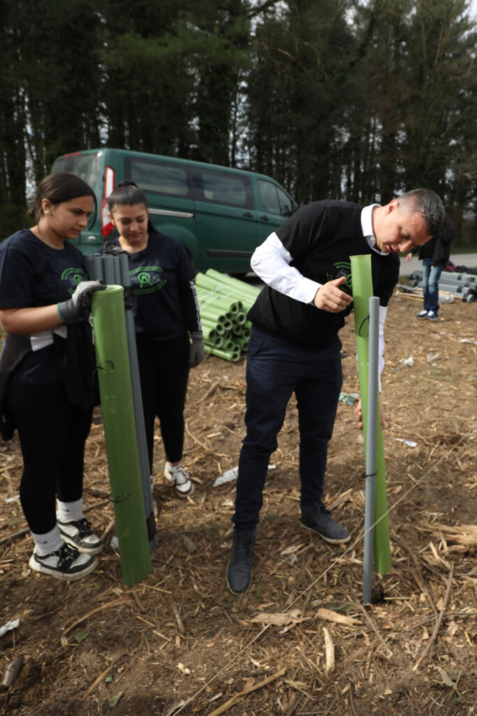 sadnja drveća u Zelendvoru