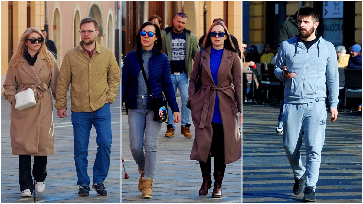 Image 5971799 (auto)