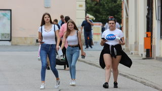 Image 5413268 (auto)