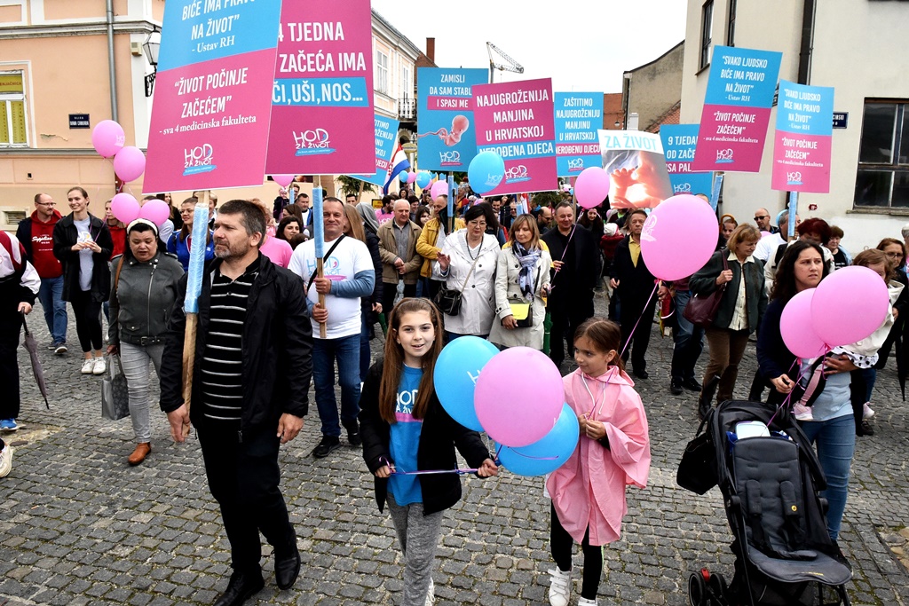 Image 5345654 (auto)