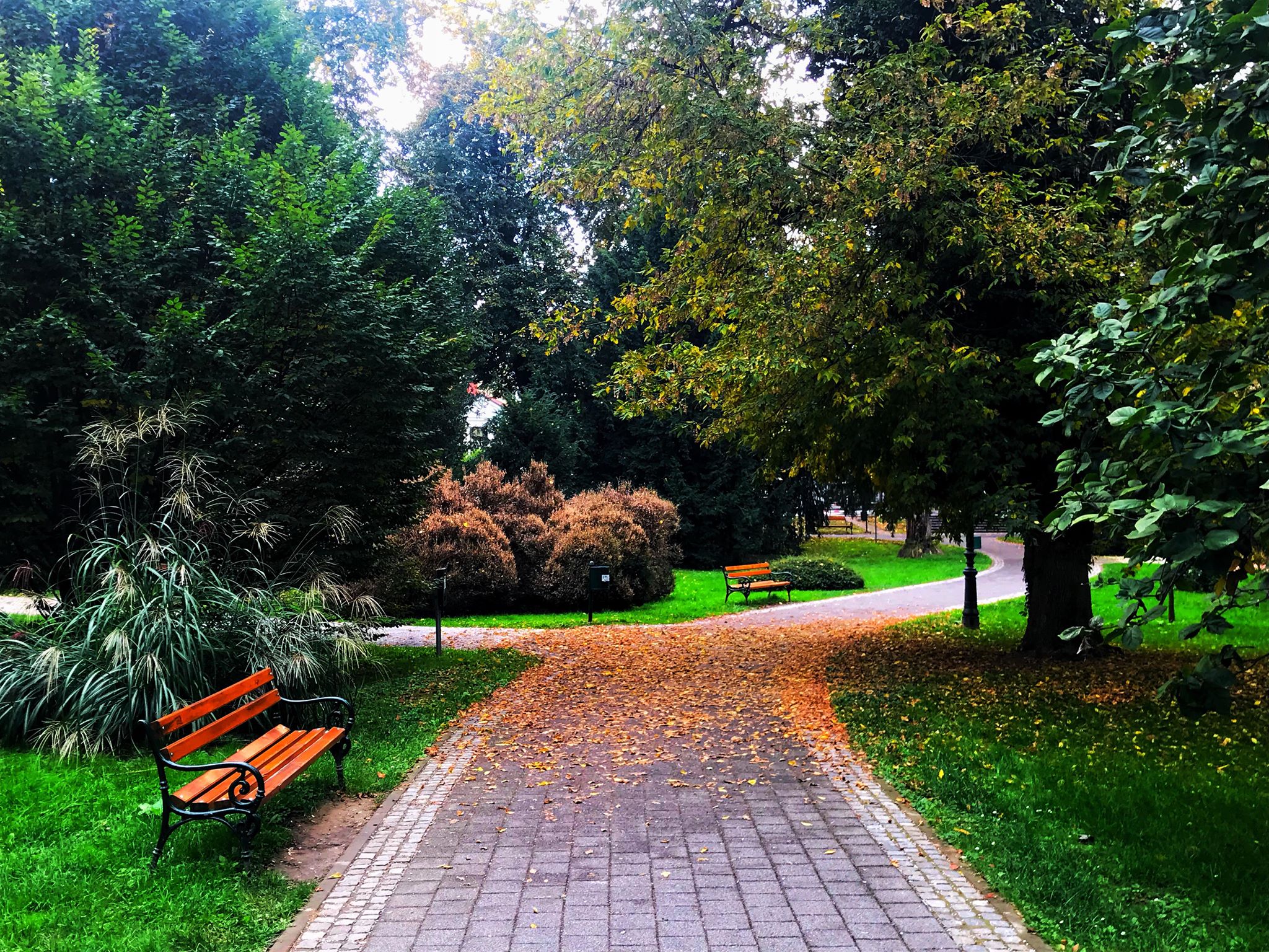 Jesen u varaždinskom parku