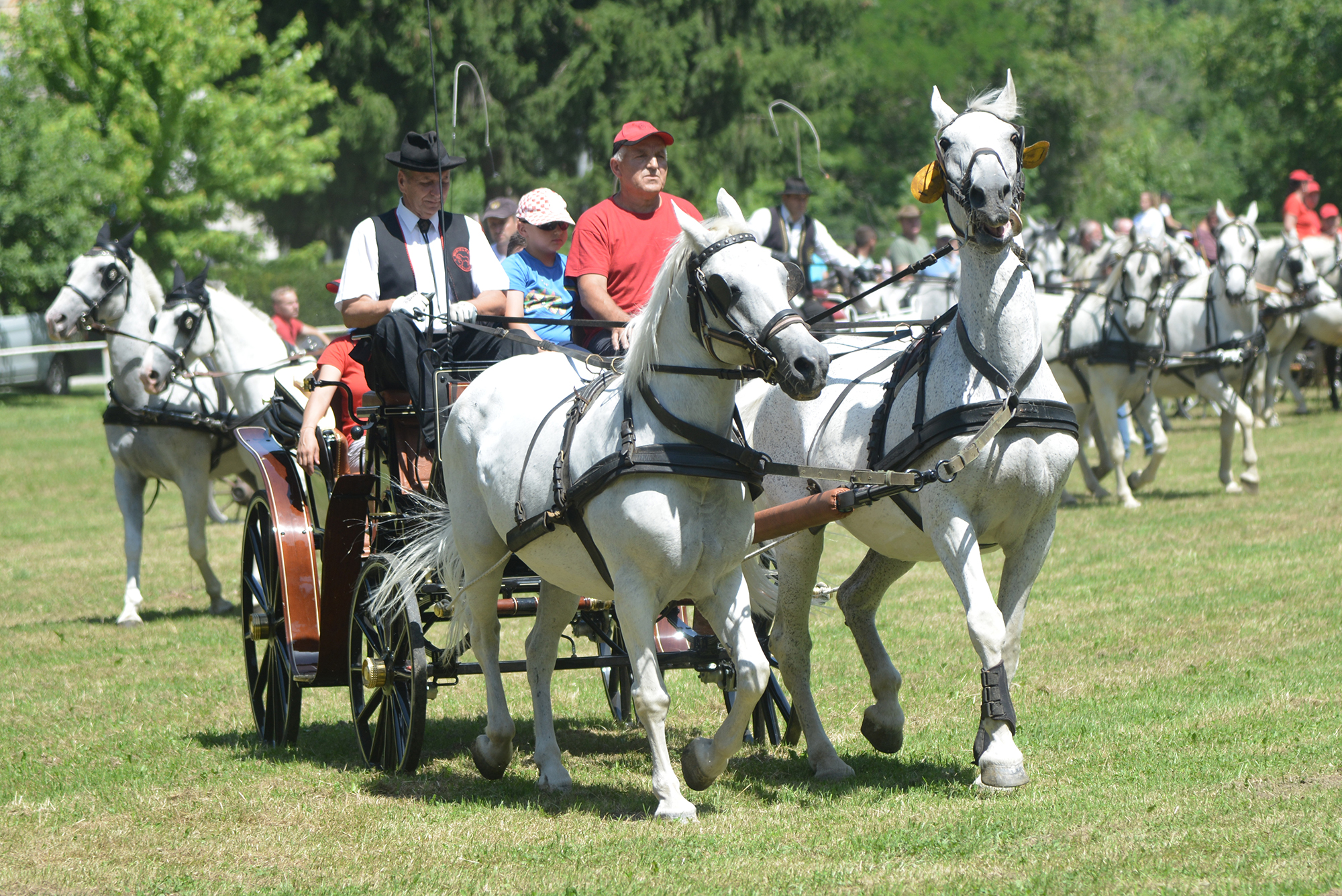 Konjičke i igre u Zelendvoru Konjičke i igre u Zelendvoru