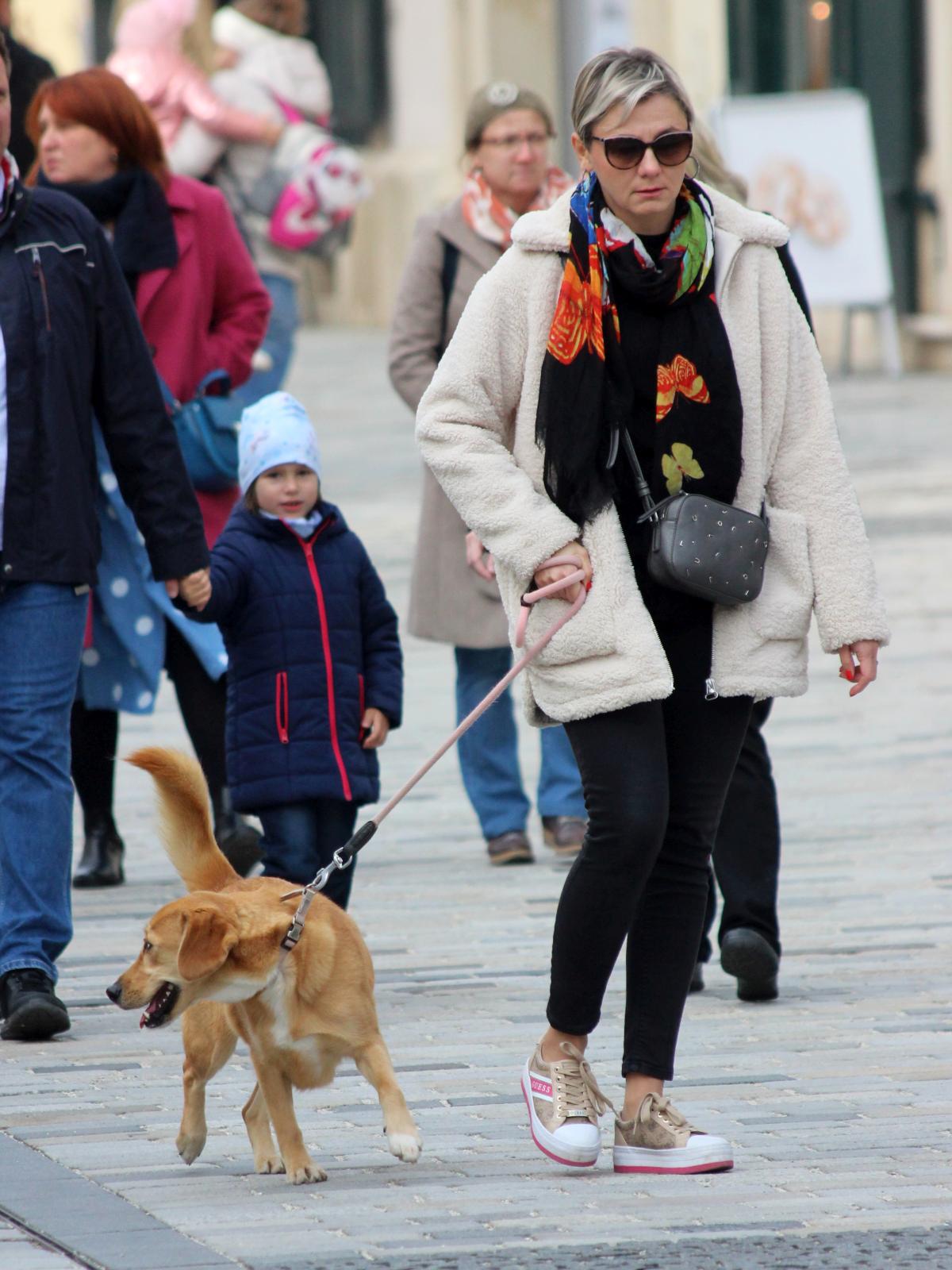 Image 5103120 (auto)