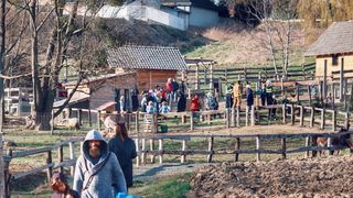 Image 4112829 (auto) Image 4112829 (auto)