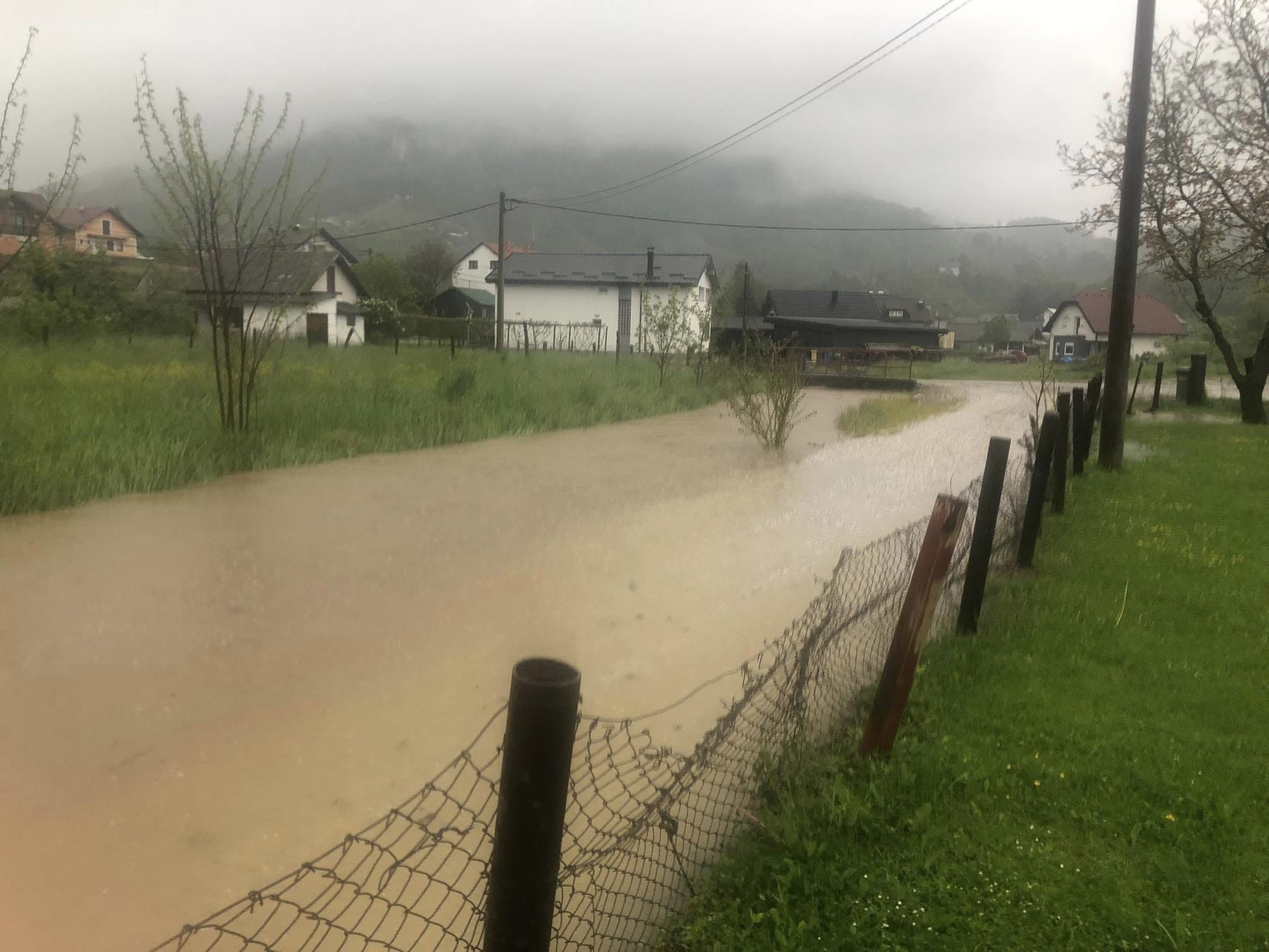 Image 5696753 (auto)