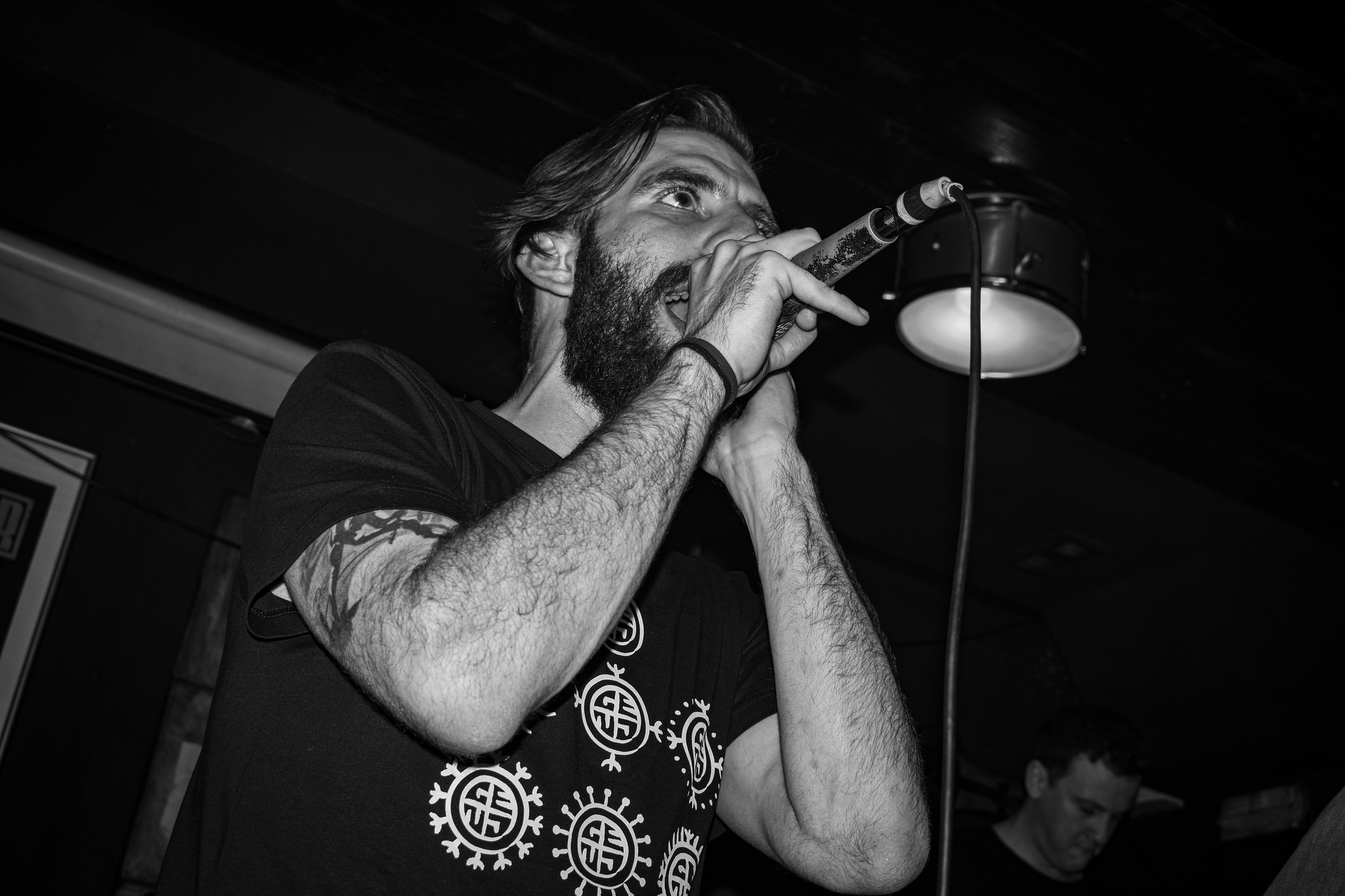 Dodger Artfool The Vipers