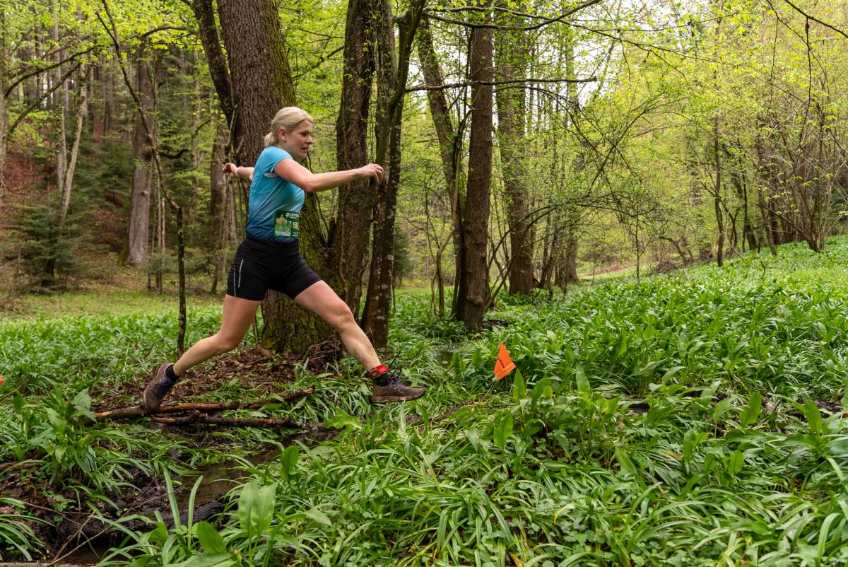 Image 5331060 (auto)