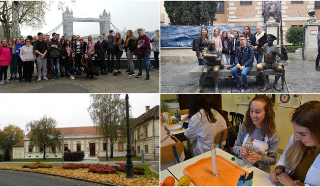 Image 4511540 (auto)