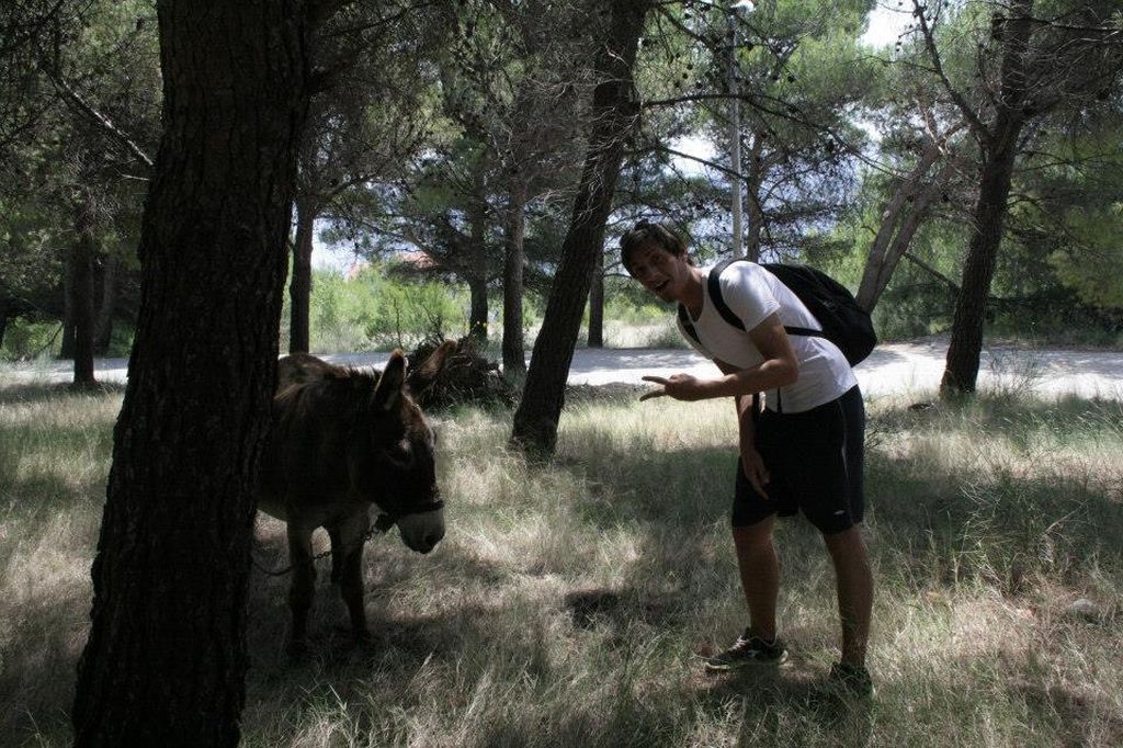 1042851210202447418768070568926