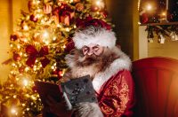 Advent_promo (7) Advent_promo (7)