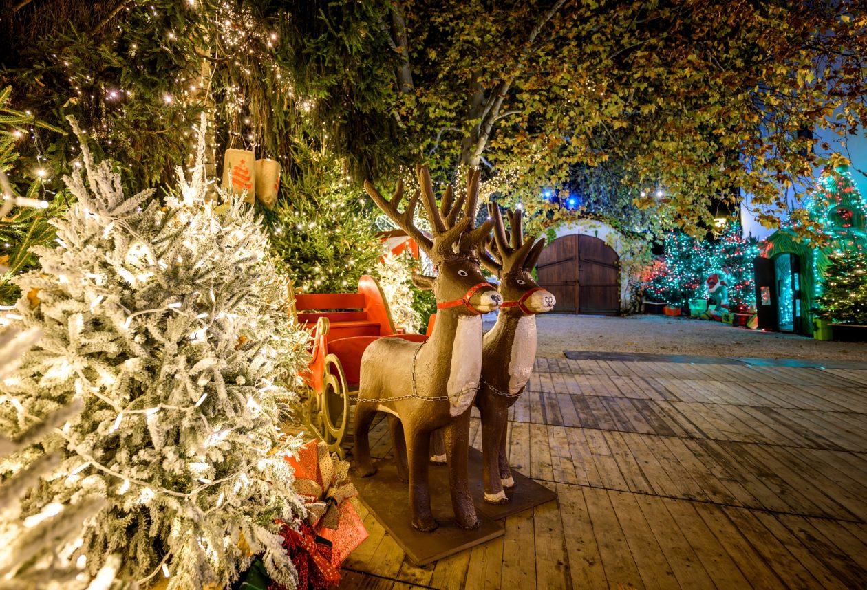 Advent_promo_foto (31)