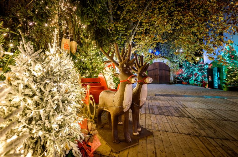 Advent_promo_foto (31) Advent_promo_foto (31)