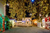 Advent_promo_foto (34) Advent_promo_foto (34)