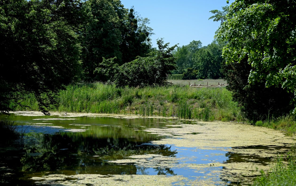 Arboretum_Opeka_obilazak (24)