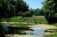 Arboretum_Opeka_obilazak (24)