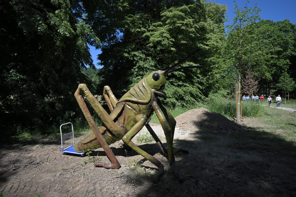 Arboretum_Opeka_obilazak (31)
