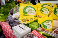 Bez_zelja_nema_veselja (3)