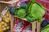 Bez_zelja_nema_veselja (38)