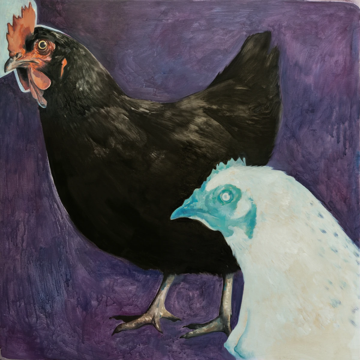 Coprnice mihael badjun Coprnice mihael badjun