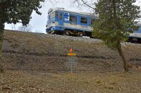 Cupids Forester 2026 – 199