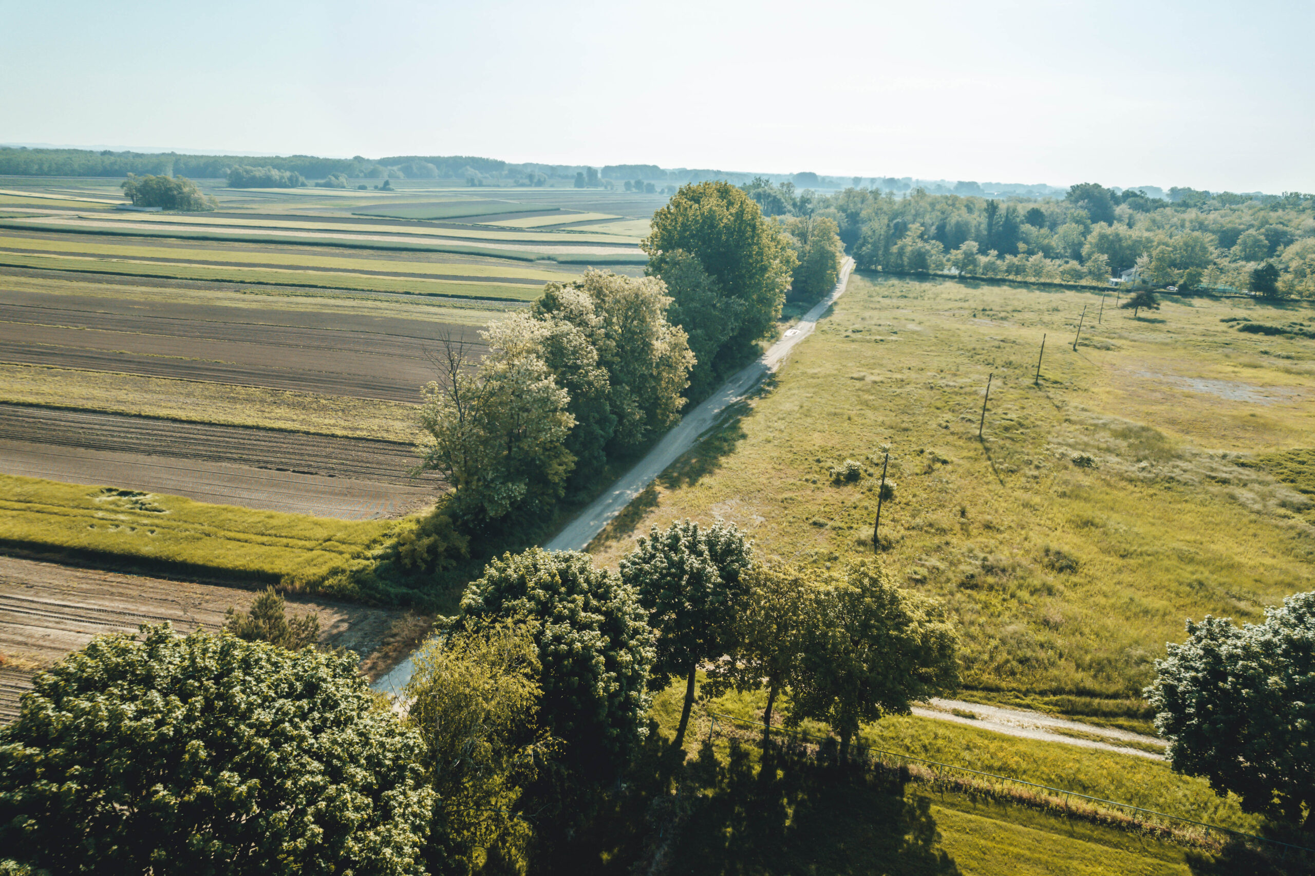 DJI_0008