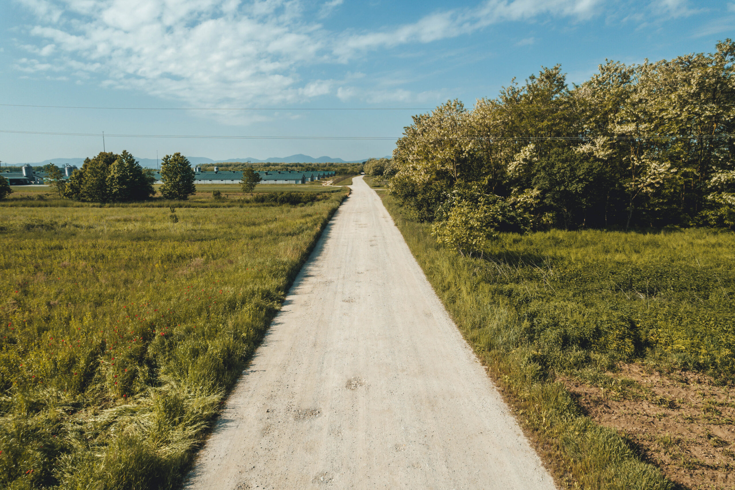 DJI_0020