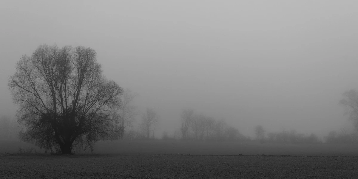 DSC00471BNW DSC00471BNW